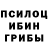 Галлюциногенные грибы прущие грибы W.E.A.L Gamer
