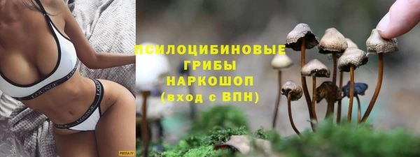 амф Абдулино