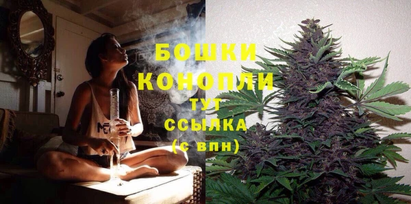 стаф Приозерск