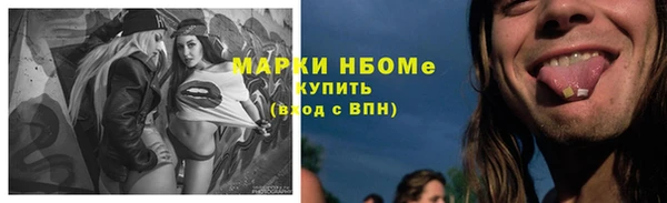 стаф Приозерск
