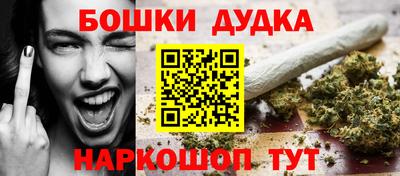 индика Волгодонск