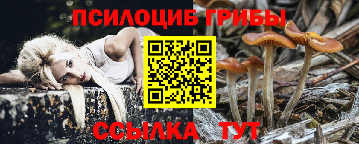 Костомукша  Псилоцибиновые грибы прущие грибы  Вход с VPN  Галлюциногенные грибы GOLDEN TEACHER 